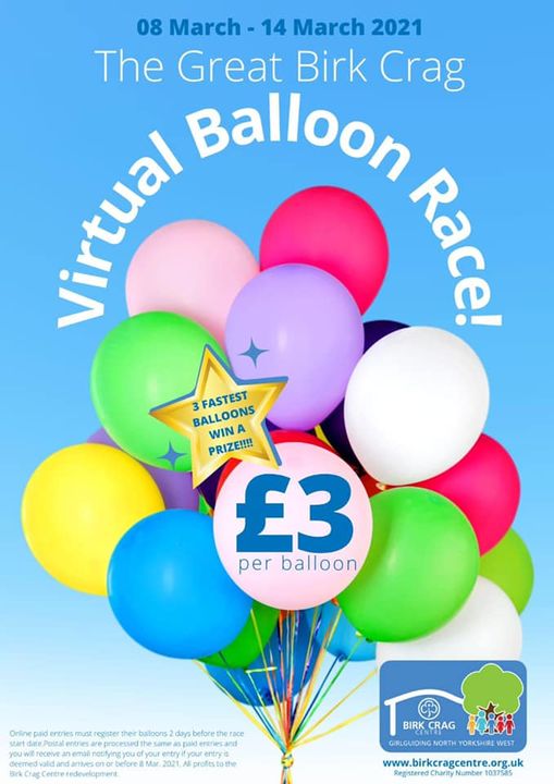 Virtual Balloon Race